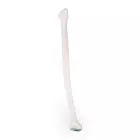 Fibula Wadenbein, Waden Bein, Nachbildung menschlicher Knochen